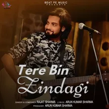 Tere Bin Zindagi