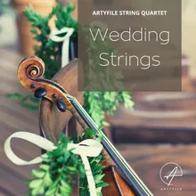 Don't Stop Believin' String Quartet