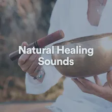 Nature Healing Sounds, Pt. 11