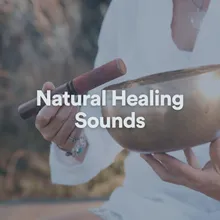 Nature Healing Sounds, Pt. 16