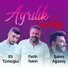 Ayrılık Şarkısı