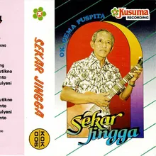 Putra Nusantara