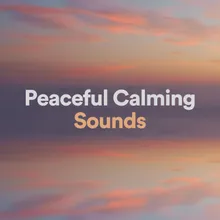 Feeling Sounds