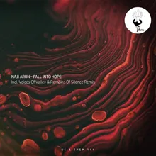 Fall into Hope Voices of Valley & Remains of Silence Remix