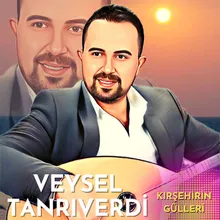 Tükenmez Davayı Banamı Verdin