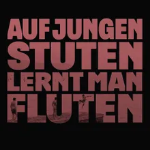 Auf jungen Stuten lernt man fluten