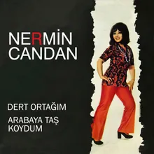 Arabaya Taş Koydum