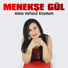 Dağlar Girdi Aramıza