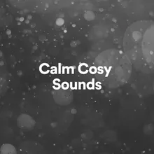 Calm Cosy Sounds, Pt. 13