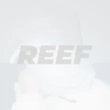 REEF