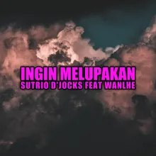 INGIN MELUPAKAN