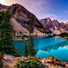 Soung oF Nature