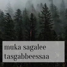 Muka sagalee tasgabbeesssaa