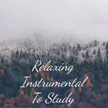 Relaxing Instrumental To Study