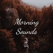 Morning Sounds