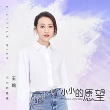 小小的愿望