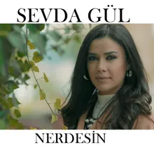 Nerdesin