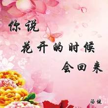 你说花开的时候会回来