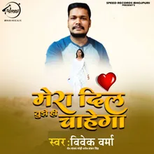 Mera Dil Tujhe Hi Chahega