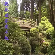 花花世界