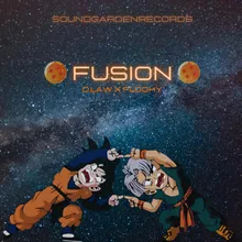 FUSION