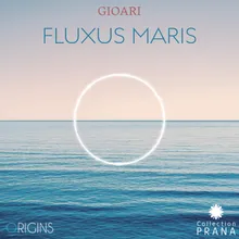 Fluxus maris, entre vagues et nuages, pt. 2