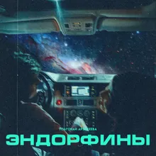 Эндорфины