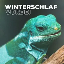 Winterschlaf vorbei