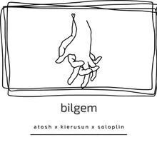 bilgem