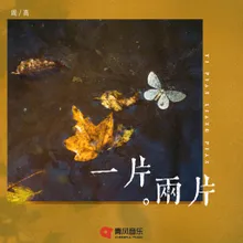 一片两片