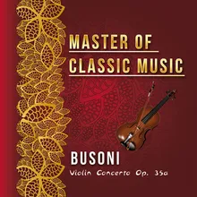 Violin Concerto in D Major, Op. 35a: I. Allegro moderato