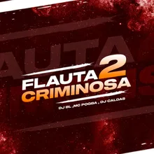 Flauta Criminosa 2