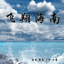 飞翔海南