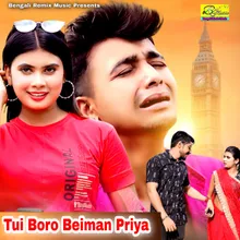 Tui Boro Beiman Priya