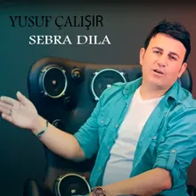 Sebra Dıla