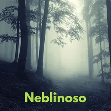 Neblinoso