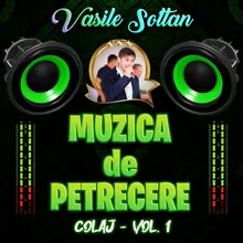 Muzică de Petrecere, Vol.1