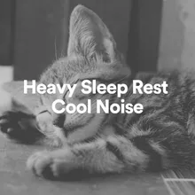 Heavy Sleep Rest Cool Noise, Pt. 11