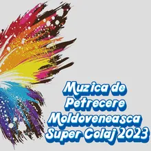 Muzica de Petrecere Moldoveneasca Super Colaj 2023