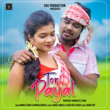 Tor Payal