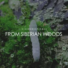 From Siberian Woods