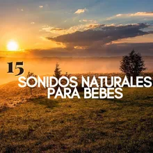 Naturales Para Bebes