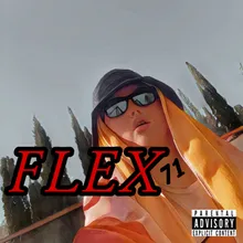 FLEX