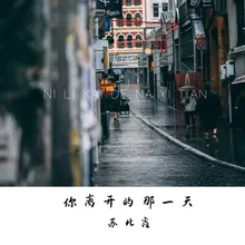 你离开的那一天