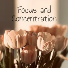 Focus and Concentration