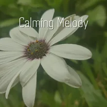Calming Melody