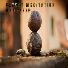 Meditation Music Aura Cleansing.