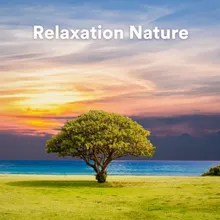 Son de la nature relaxation