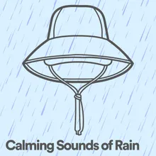 Calming Sounds of Rain, Pt. 2