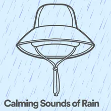 Calming Sounds of Rain, Pt. 25